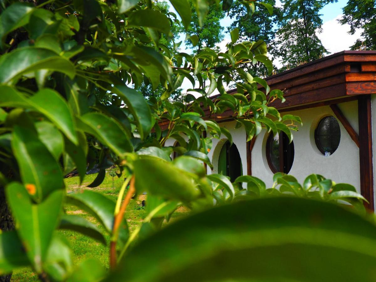 Chata Karkonoskiego Skrzata Villa Sosnówka Buitenkant foto