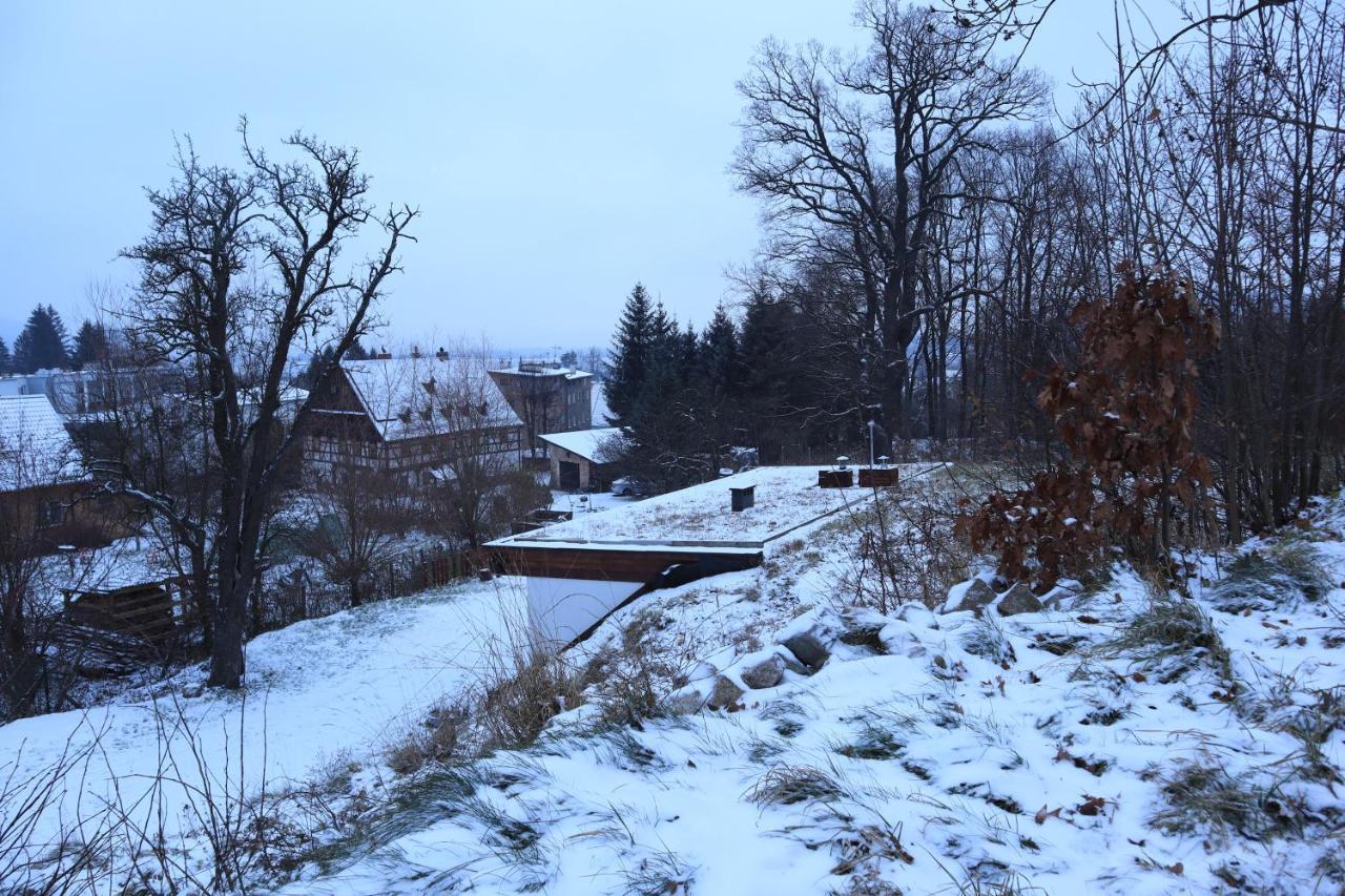 Chata Karkonoskiego Skrzata Villa Sosnówka Buitenkant foto
